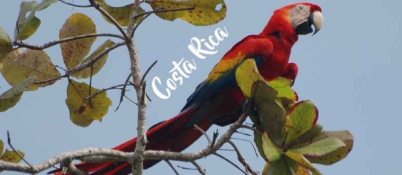 Titel Costa Rica